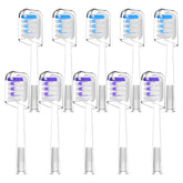 DenSecc replacement toothbrush heads for Laifen Wave - transparent packaging 01