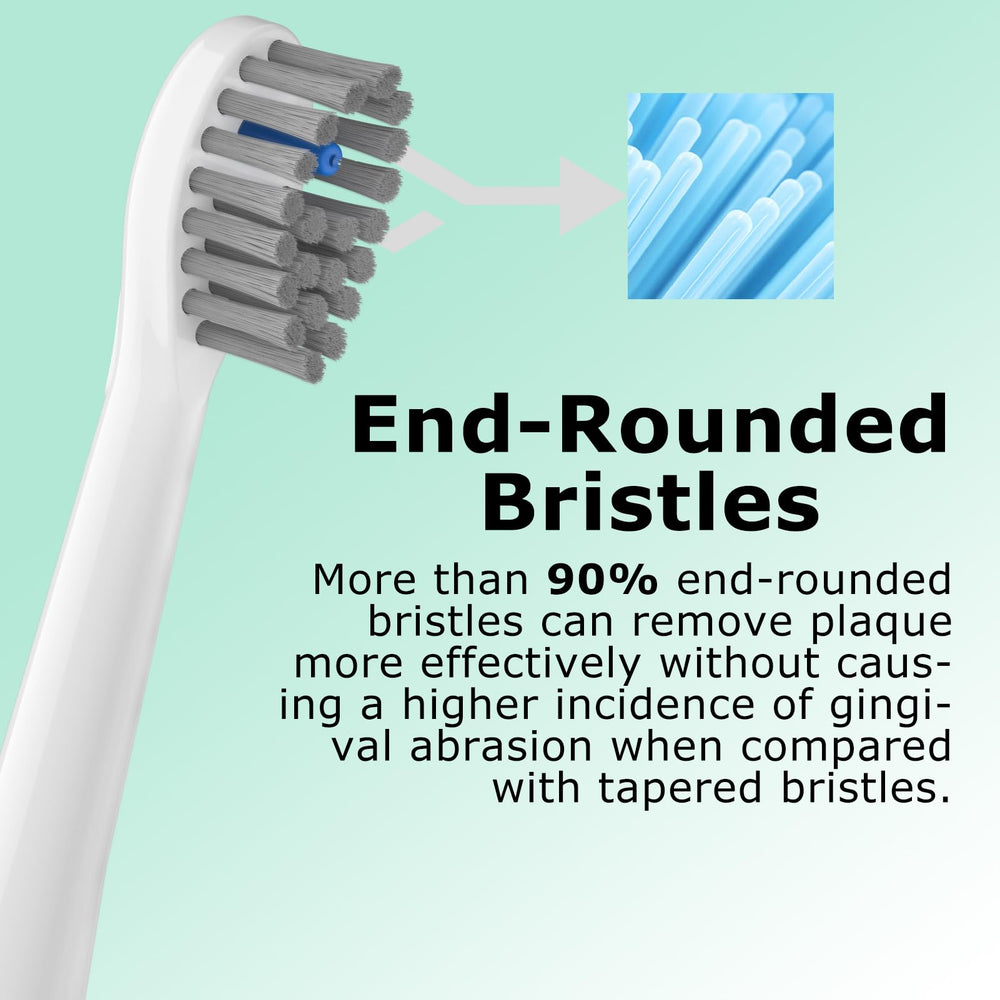 Dentist-recommended replacement every 3 months