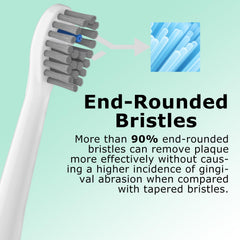 Dentist-recommended replacement every 3 months