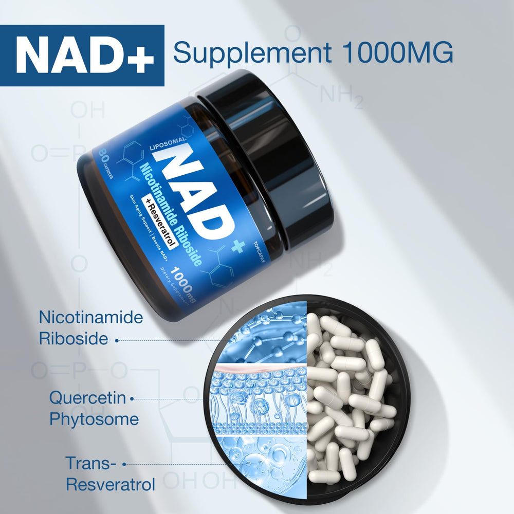 Cardiovascular health concept with blood vessels