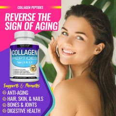 Collagen types I II III V X infographic