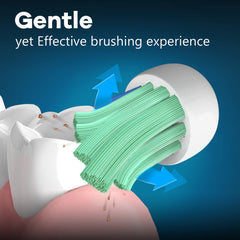 Easy installation of Toptheway replacement heads onto Philips Sonicare handle