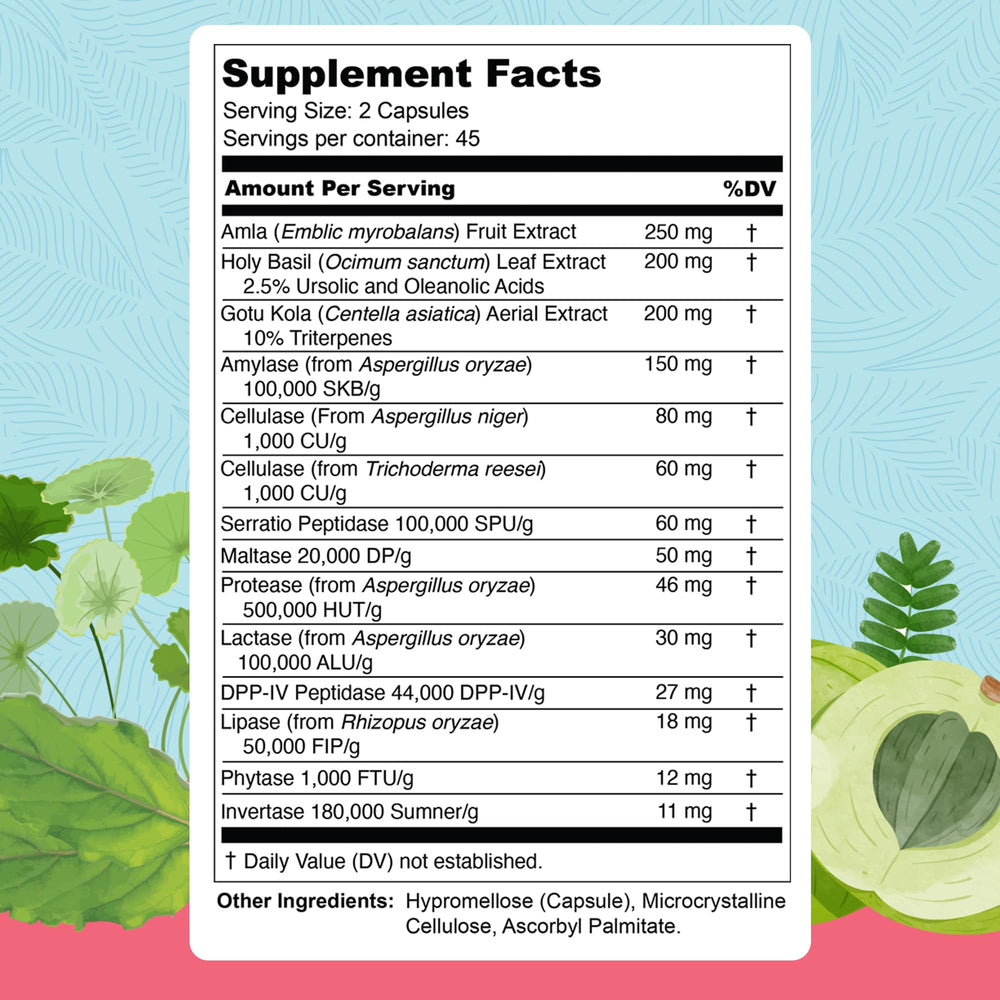 Close-up of the 13 digestive enzymes and ingredients included in Total Revive+.
