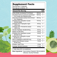 Close-up of the 13 digestive enzymes and ingredients included in Total Revive+.