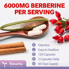Collection view of Totaria Berberine supplements and packaging