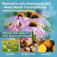 Totaria Lymph MD System Support packaging