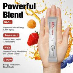 Graphic highlighting absorption enhancers and bioavailability