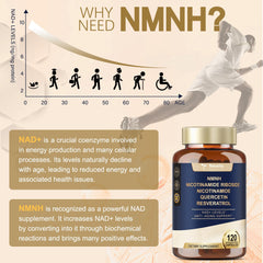 Quercetin and Resveratrol supplement components