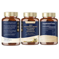 GMP-certified manufacturing facility