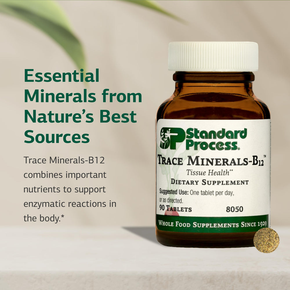 Graphic highlighting bone, cartilage and immune support from minerals