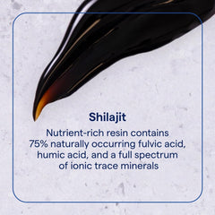 Pea-sized serving of Shilajit resin on spoon