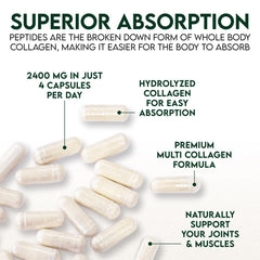 Travel-ready collagen capsules in blister pack