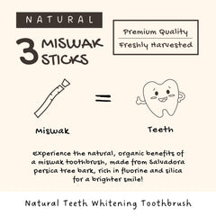 Travel-friendly Miswak sticks for on the go brushing