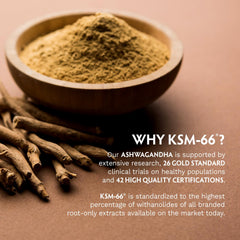 TRIBE ORGANICS Ashwagandha KSM66 capsules close-up for daily routine.
