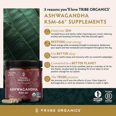 Front view of TRIBE ORGANICS Ashwagandha KSM-66 bottle