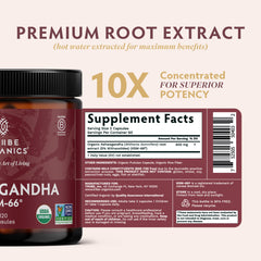 TRIBE ORGANICS Ashwagandha KSM66 packaging box highlighting organic origin.