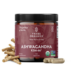 TRIBE ORGANICS Ashwagandha KSM66 powder bottle for daily focus support.