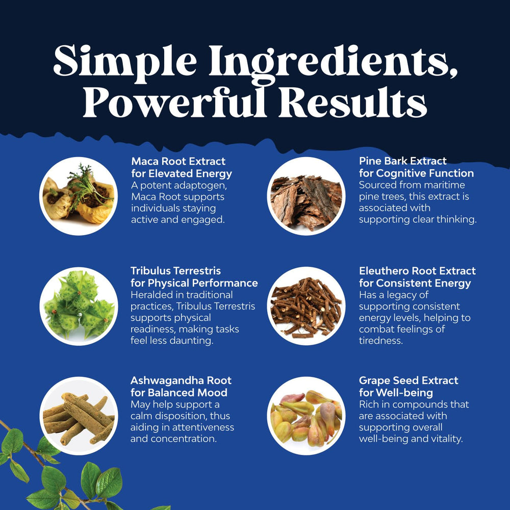 Tribulus terrestris ingredient for male wellness