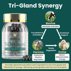 Gluten-free, GMO-free, artificial ingredient-free formulation label