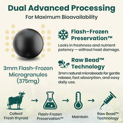 Illustration of 375 mg daily serving thyroid-support
