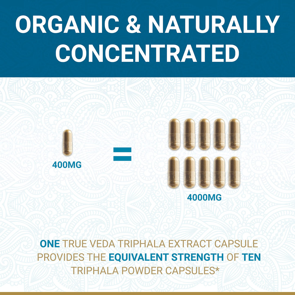 Illustration of Organic Amalaki, Bibhitaki and Haritaki ingredients