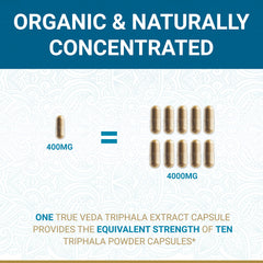 Illustration of Organic Amalaki, Bibhitaki and Haritaki ingredients