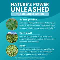 Graphic of triple adaptogenic formula