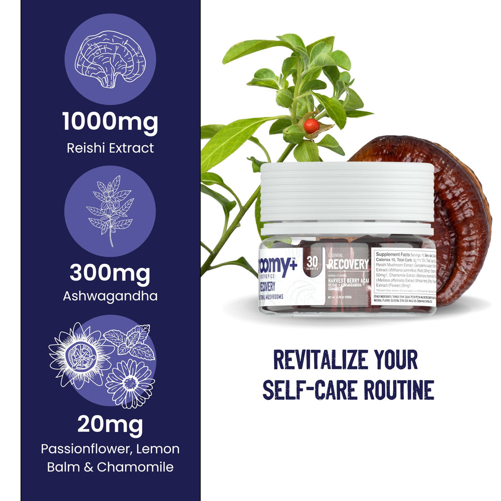 Illustration of ashwagandha and reishi mushrooms