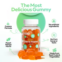 Highlight of focus benefits for Lion’s Mane gummies