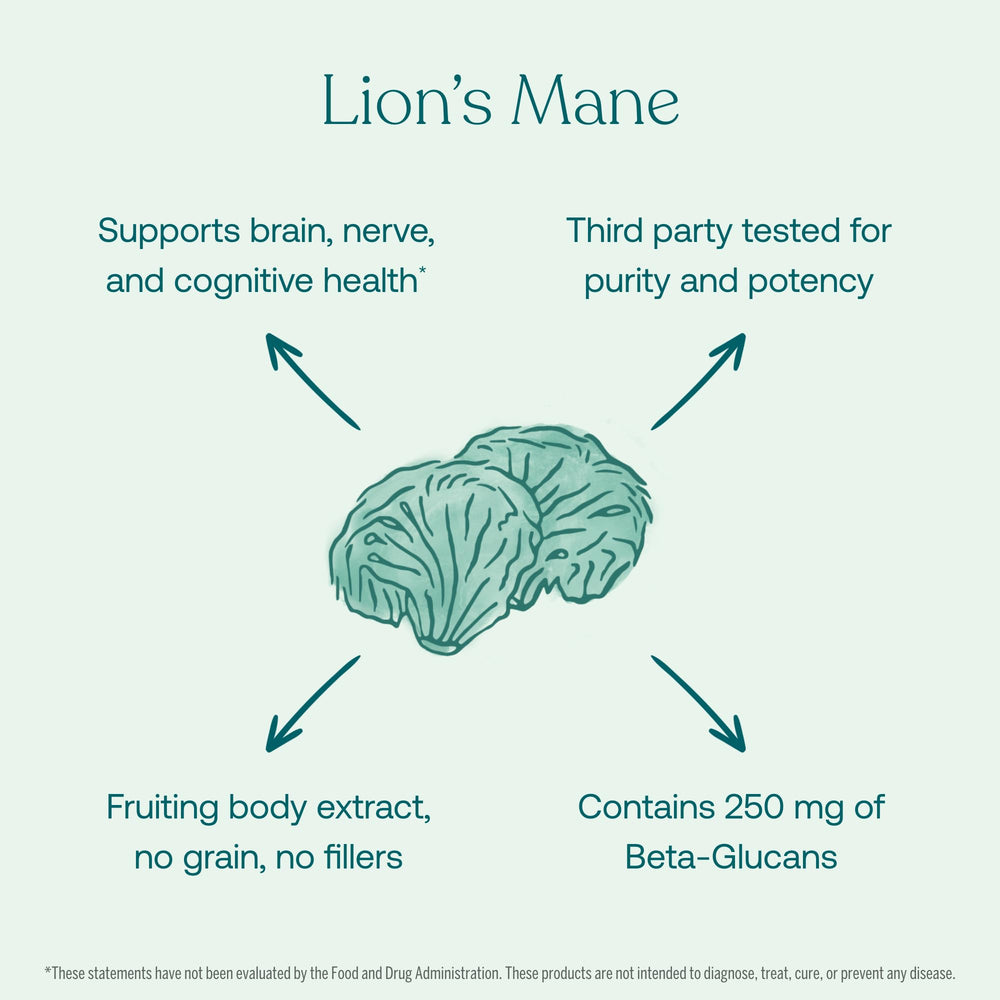Graphic highlighting beta-glucans and active compounds in Lion's Mane