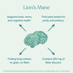 Graphic highlighting beta-glucans and active compounds in Lion's Mane