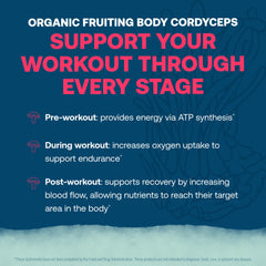 True Grace ElectroMag cordyceps mushroom image suggesting endurance support during workouts.