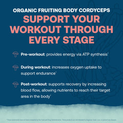 True Grace ElectroMag ingredients highlight minerals and cordyceps for endurance support.