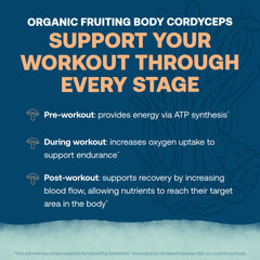 True Grace ElectroMag minerals with cordyceps for muscle recovery and oxygen use.