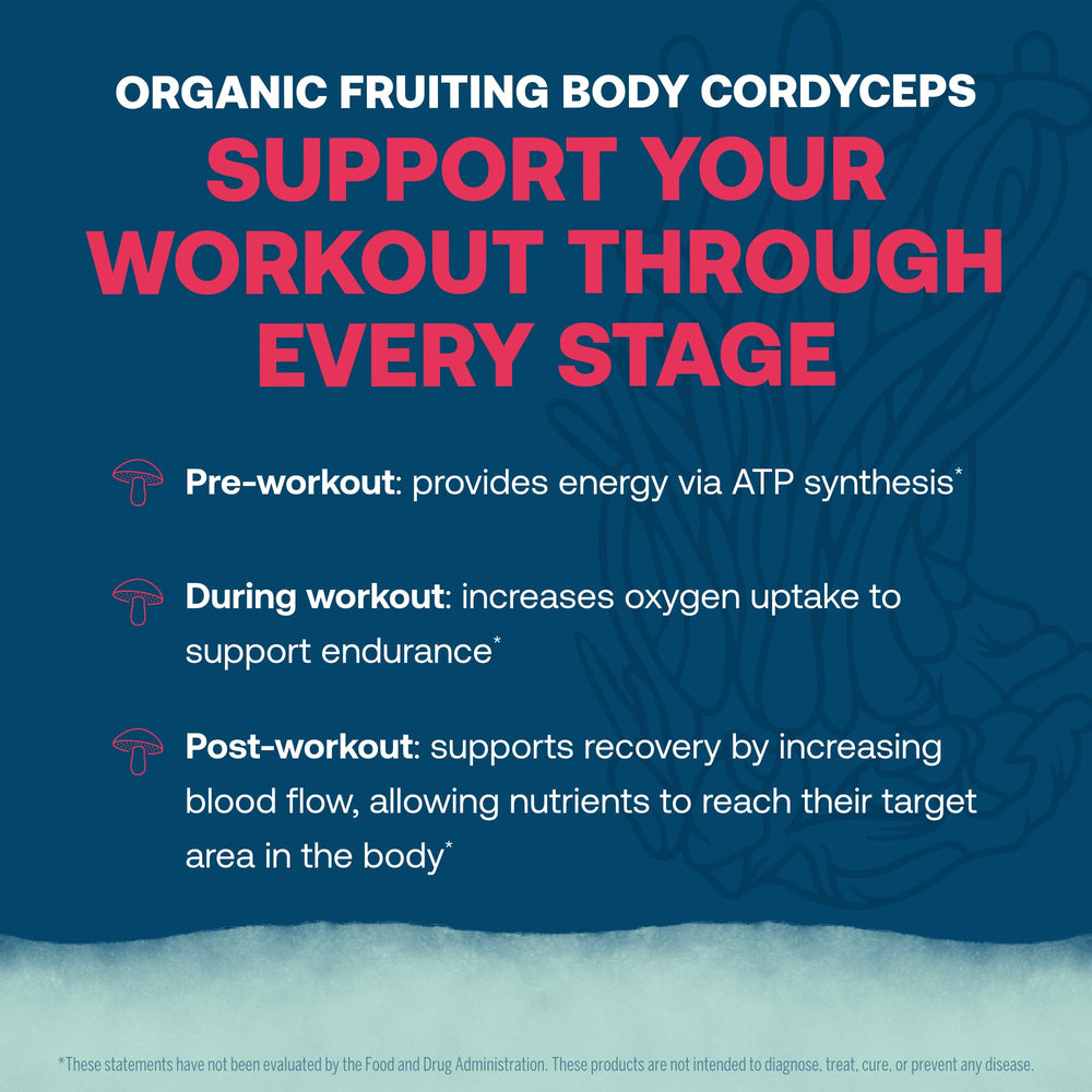 True Grace ElectroMag watermelon servings box showing 16-stick count