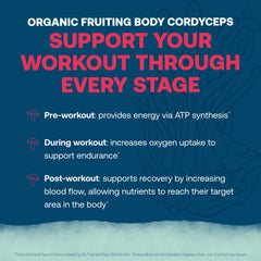 True Grace ElectroMag watermelon servings box showing 16-stick count