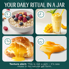 Ingredients label of TrueSeaMoss Sea Moss Gel