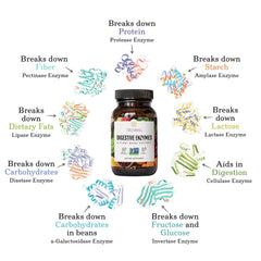 Close-up of the 9-enzyme blend capsules