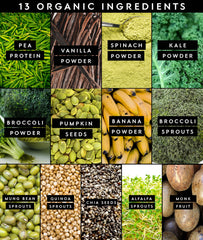 Truvani Spinach-Kale-Broccoli blend in a smoothie bowl boosts daily greens intake