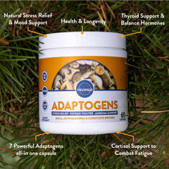 Daily energy support and mental clarity concept