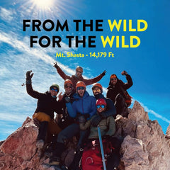 TruWild Hydrate strawberry lime powder close-up highlighting flavor.