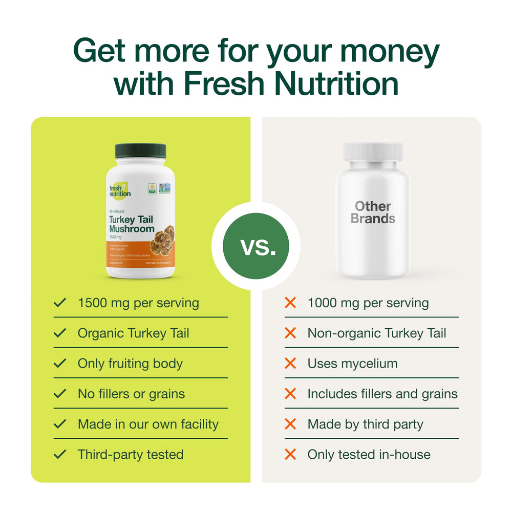 Organic whole turkey tail mushroom close-up