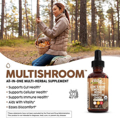 Turkey Tail extract powder beside mushrooms