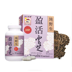 Bottle of Turkey Tail Mushroom Capsules with Yunzhi Essence label