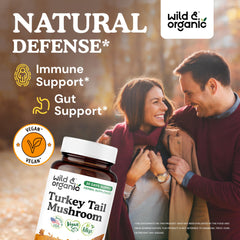 Close-up of turkey tail mushroom extract capsule (1000 mg)