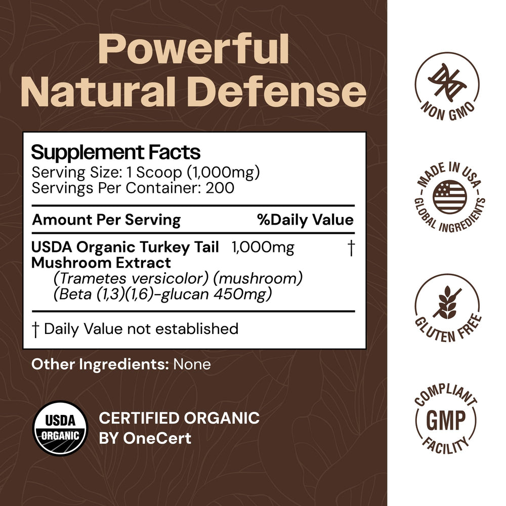 Close-up of Turkey Tail mushroom powder ingredients