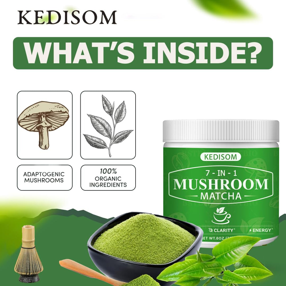 Turkey Tail mushroom powder image