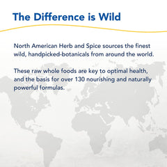 Cup of prepared Turmamilk beverage