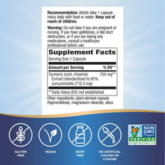 Turmeric 95 percent curcuminoids 750 mg per serving illustration