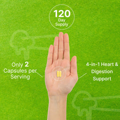 Turmeric curcumin root extract 95% strength